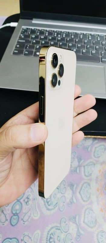 iPhone 12 Pro Max 256 GB Golden 10/10 3