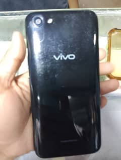 vivo