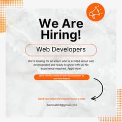 Web Developer Interns