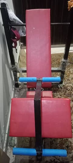 Bench press/Heavy duty bench for gym/Multi Adjustable Bench