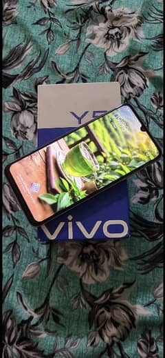 vivo