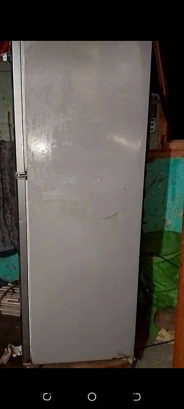 freezer 10/7 condition all OK cell:03132753008 1