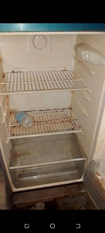 freezer 10/7 condition all OK cell:03132753008 2