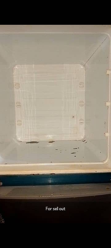 freezer 10/7 condition all OK cell:03132753008 3