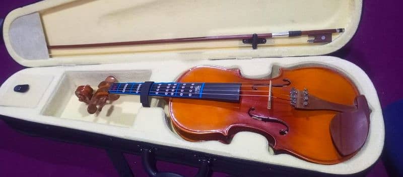 violin for sale 2