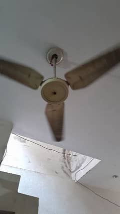 ceiling fan for sale