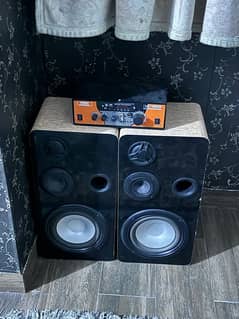 8 inch woofer