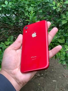 iphone xr jv