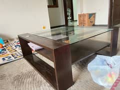 coffee table habbit