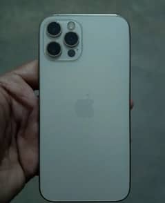 iphone 12 pro