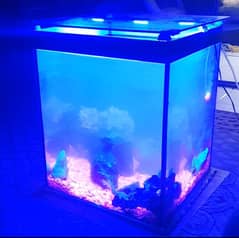 Table aquarium