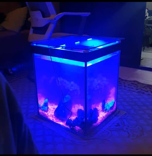 Table aquarium 1