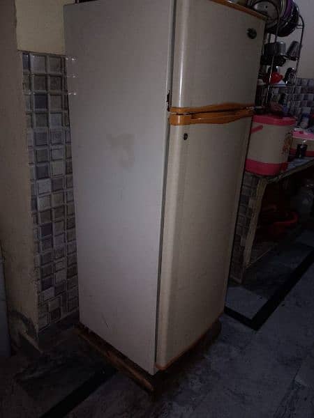 Best refrigerator for sell 6