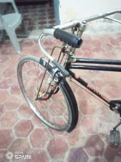 sohrab original 22" cycle