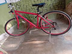 2 cycle for sale