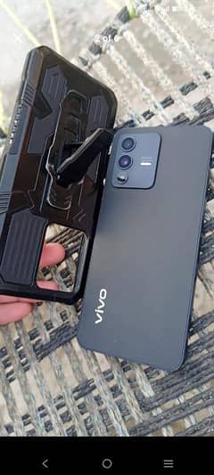 vivo