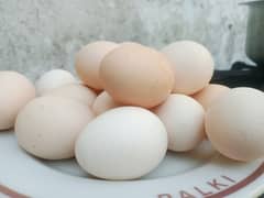 Eggs