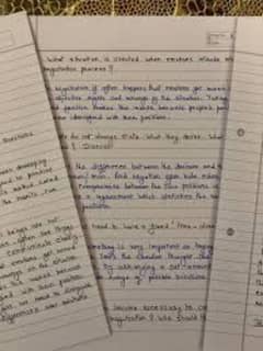 Assignment Hand Writing Work