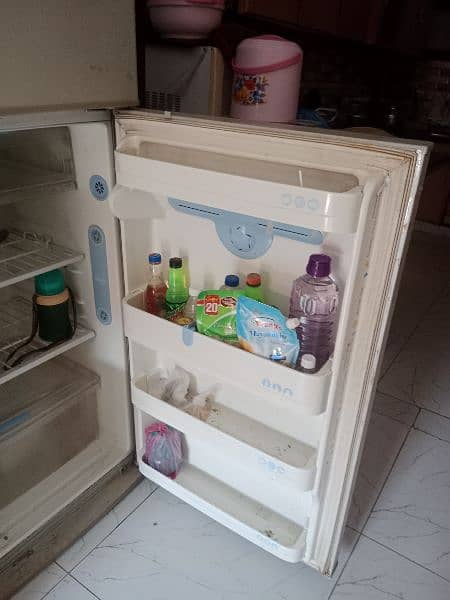 LG full size Refrigerator 5