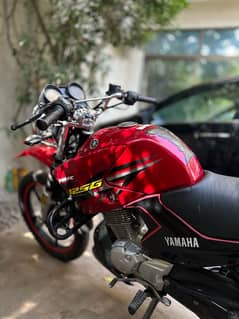 YAMAHA