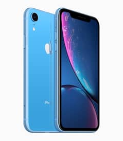 iPhone XR