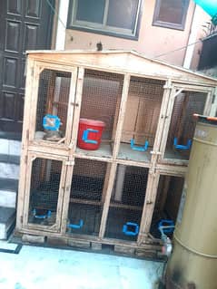 Aseel Cage & Brooder