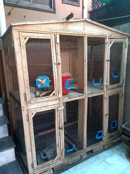 Aseel Cage & Brooder 1