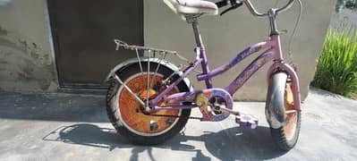 Barbie Cycle