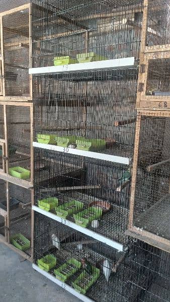 4 portion folding cages 3