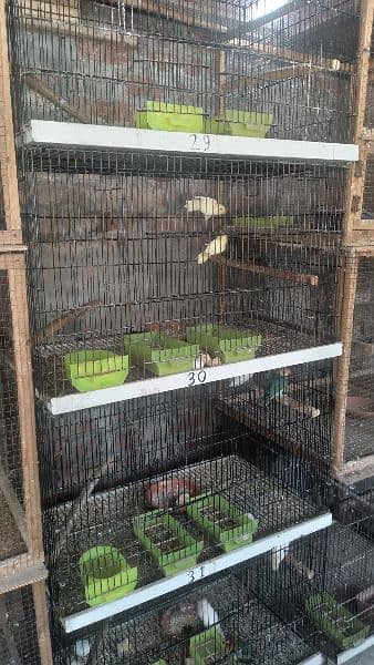 4 portion folding cages 4