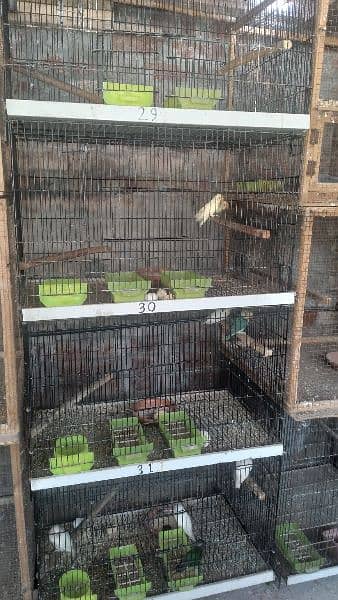 4 portion folding cages 5