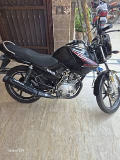 Yamaha Ybr125 (2019) black color