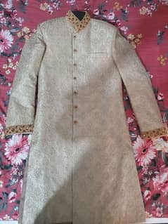 Sherwani