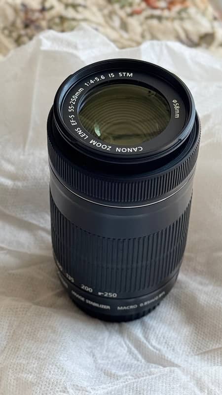 canon EF-S 55-250mm IS STM 1