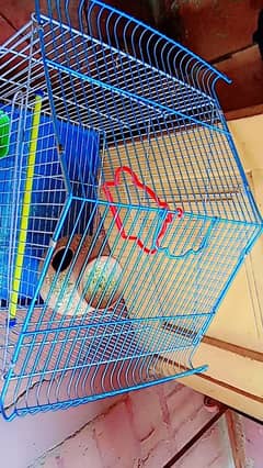 CAGE FOR SALE. (AUSTRALIAN BIRDS CAGE)