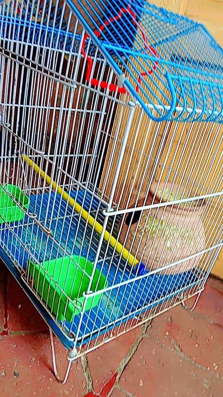 CAGE FOR SALE. (AUSTRALIAN BIRDS CAGE) 1