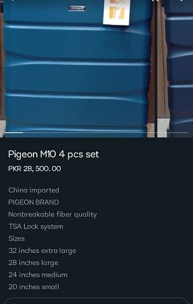 pigeon M10 4 PCs set 7