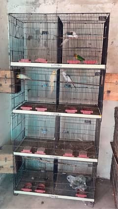 Coctail pair for sall All satup with cage box