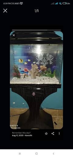 2 feet aquarium