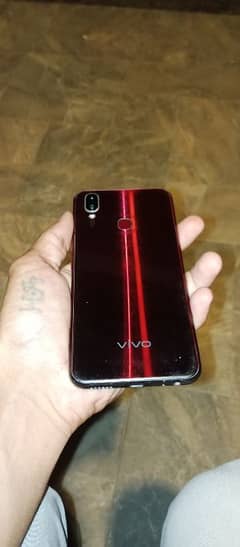 Vivo