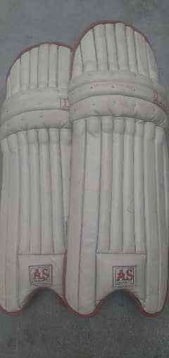 cricket pads medium size