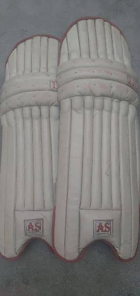 cricket pads medium size 0