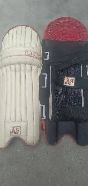 cricket pads medium size 1