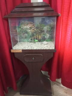 Fish Aquarium For Sale.