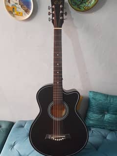 Acoustic guitar with capo and 2 picks.