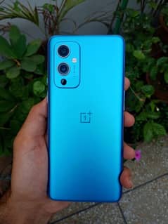 OnePlus 9 5G  12/256 GB