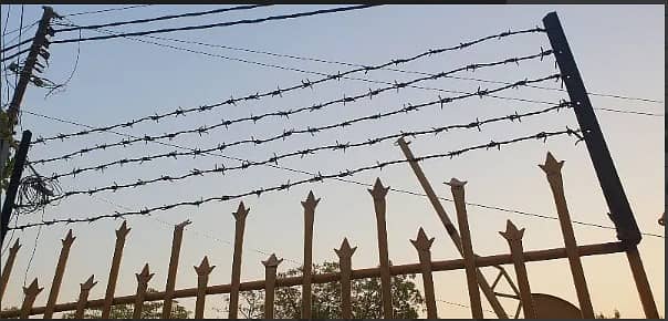 Razor Wire | Chain Link Fence | Birds Spikes | Barbed Wire, Jali, Mes 1