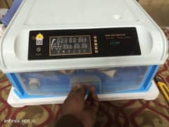 Incubator | eggs hatching machine | 1 year warranty | whole sale price