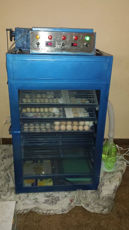 Incubator | eggs hatching machine | 1 year warranty | whole sale price 19