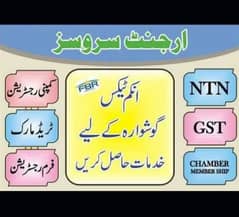 TAX CONSULTANT,FBR,NTN,GST,IPO,COMPANY REGISTERATION,SECP